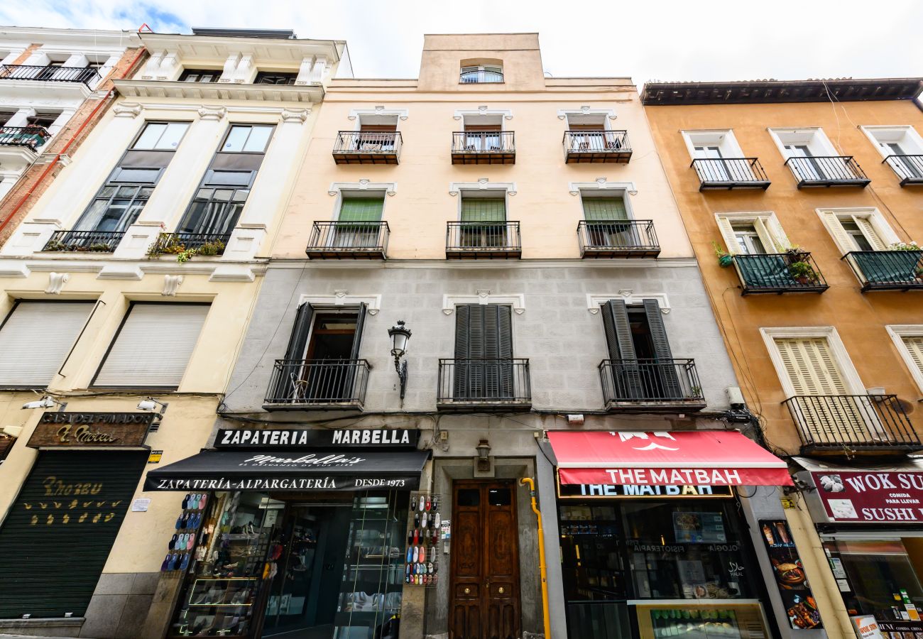 Apartment in Madrid - M (TET261I) Piso 1 dormitorio en el Centro de Madr