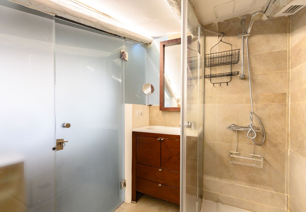 Apartment in Madrid - M (FER3452) Ático de 1 dormitorio en Moncloa