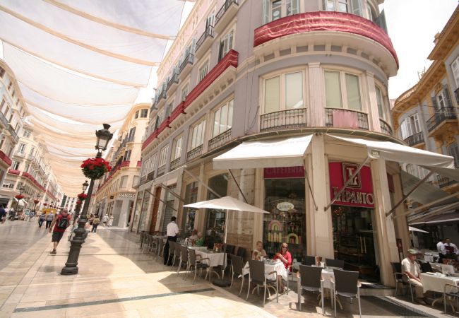 Appartement à Malaga - Calle Larios A