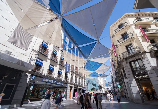 Appartement à Madrid - M (DLM73) Downtown Madrid centro Cibeles Appartement à Madrid - M (DLM73) Downtown Madrid centro Cibeles