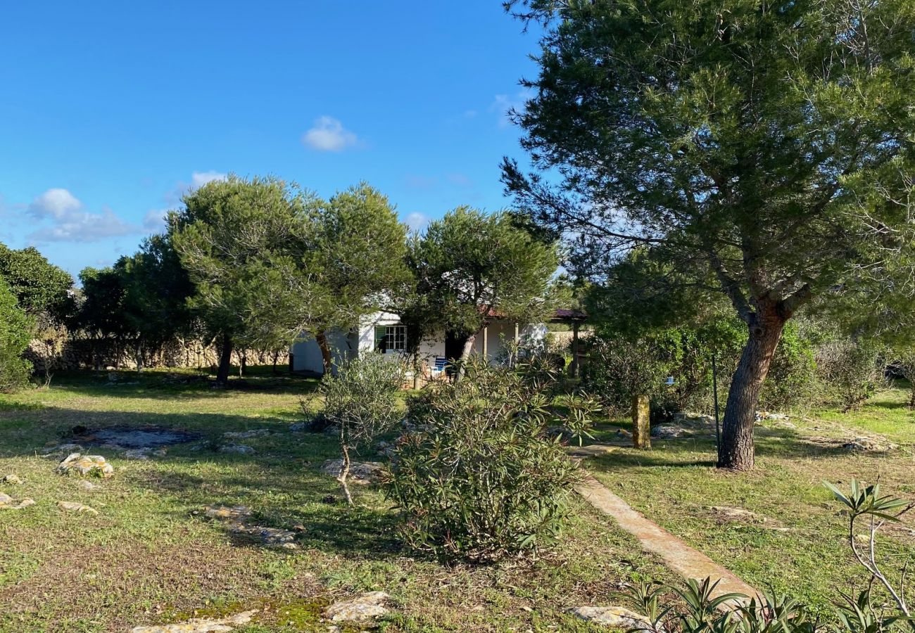 Maison à San Luis - Maison avec 6 chambres à 2 km de la plage