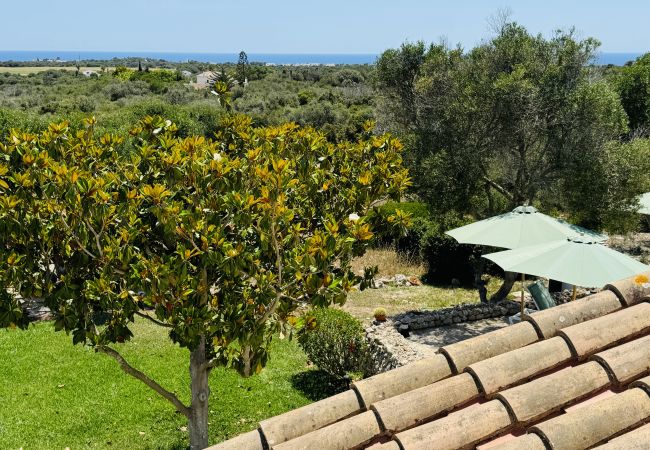 Maison à San Luis - Casa SABARRACA Maison à San Luis - Casa SABARRACA