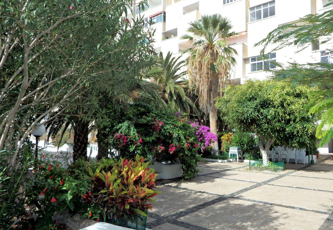 Appartement à Tenerife - Appartement pour 4 personnes à 5 m de la plage