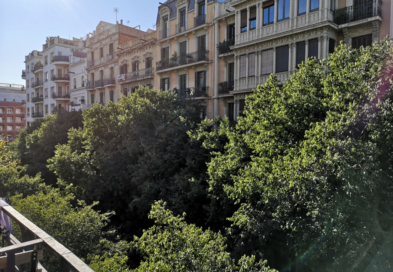 Appartement à Barcelone - CALABRIA, appartement spacieux, confortable ideal families ou groups très bien situé Eixample, Barcelone centre