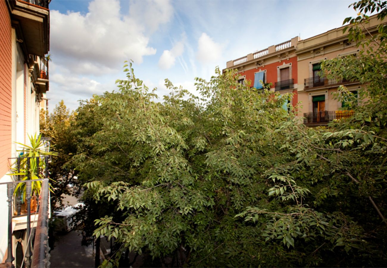 Appartement à Barcelone - SANT ANTONI, appartement spacieux, lumineux, confortable et tranquile à Barcelone centre