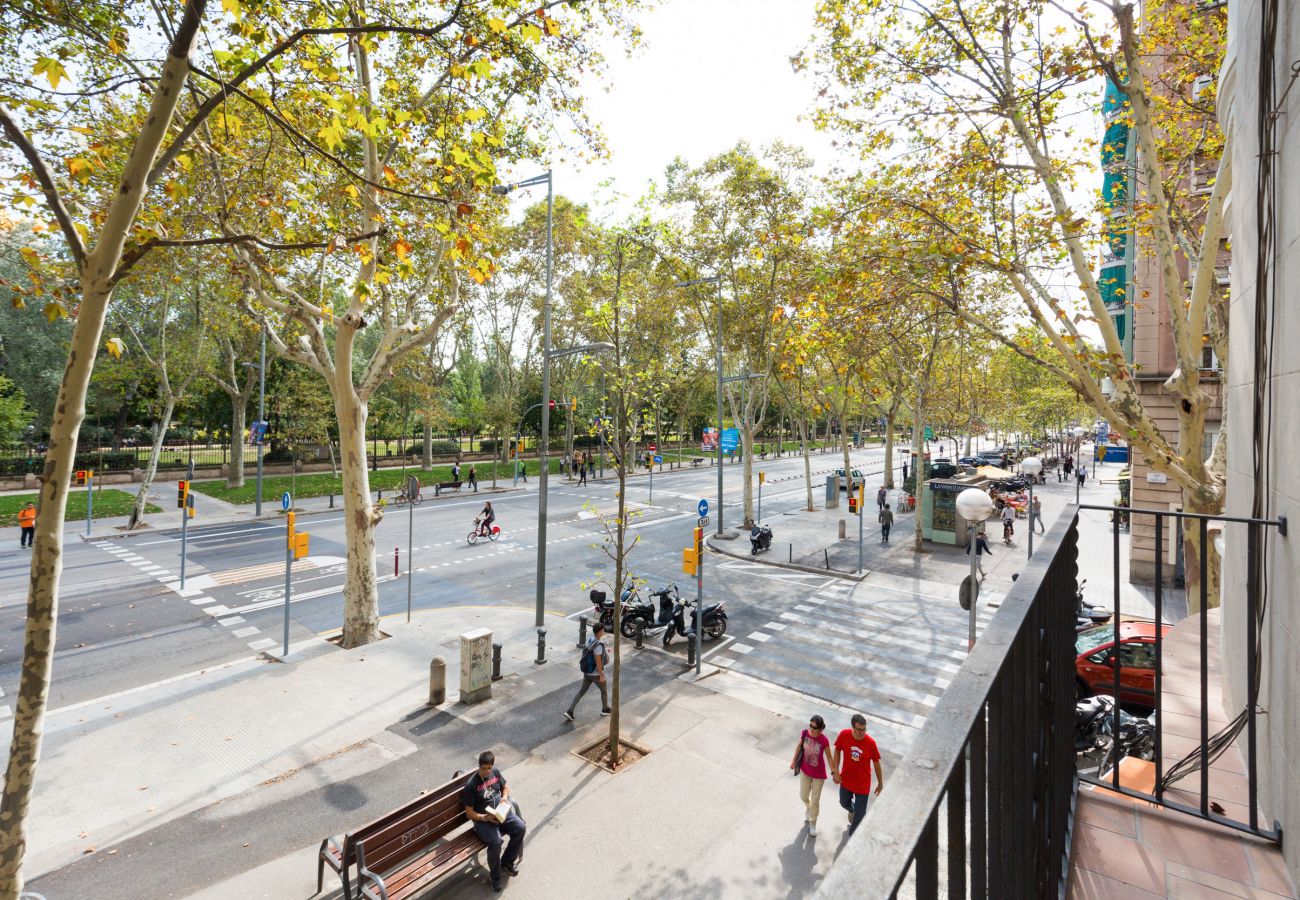 Appartement à Barcelone - Family CIUTADELLA PARK, grand appartement de 4 chambres à Barcelone centre.