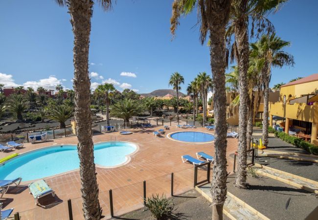 Appartement à Corralejo - Appartement Oasis Royal 11 Corralejo avec vue sur la piscine par Lightbooking