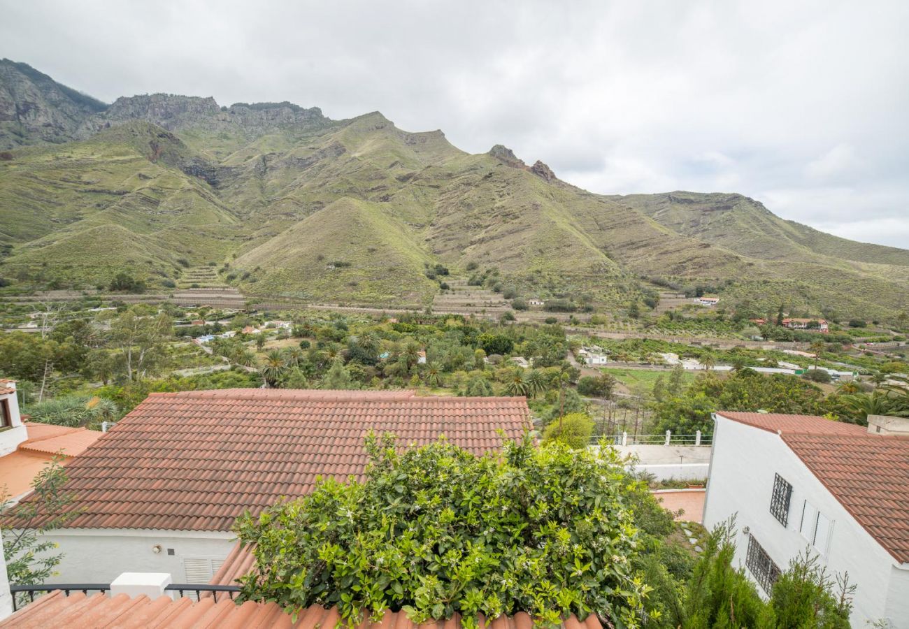 Maison à Agaete - Villa Carmen Agaete Mimosas 13