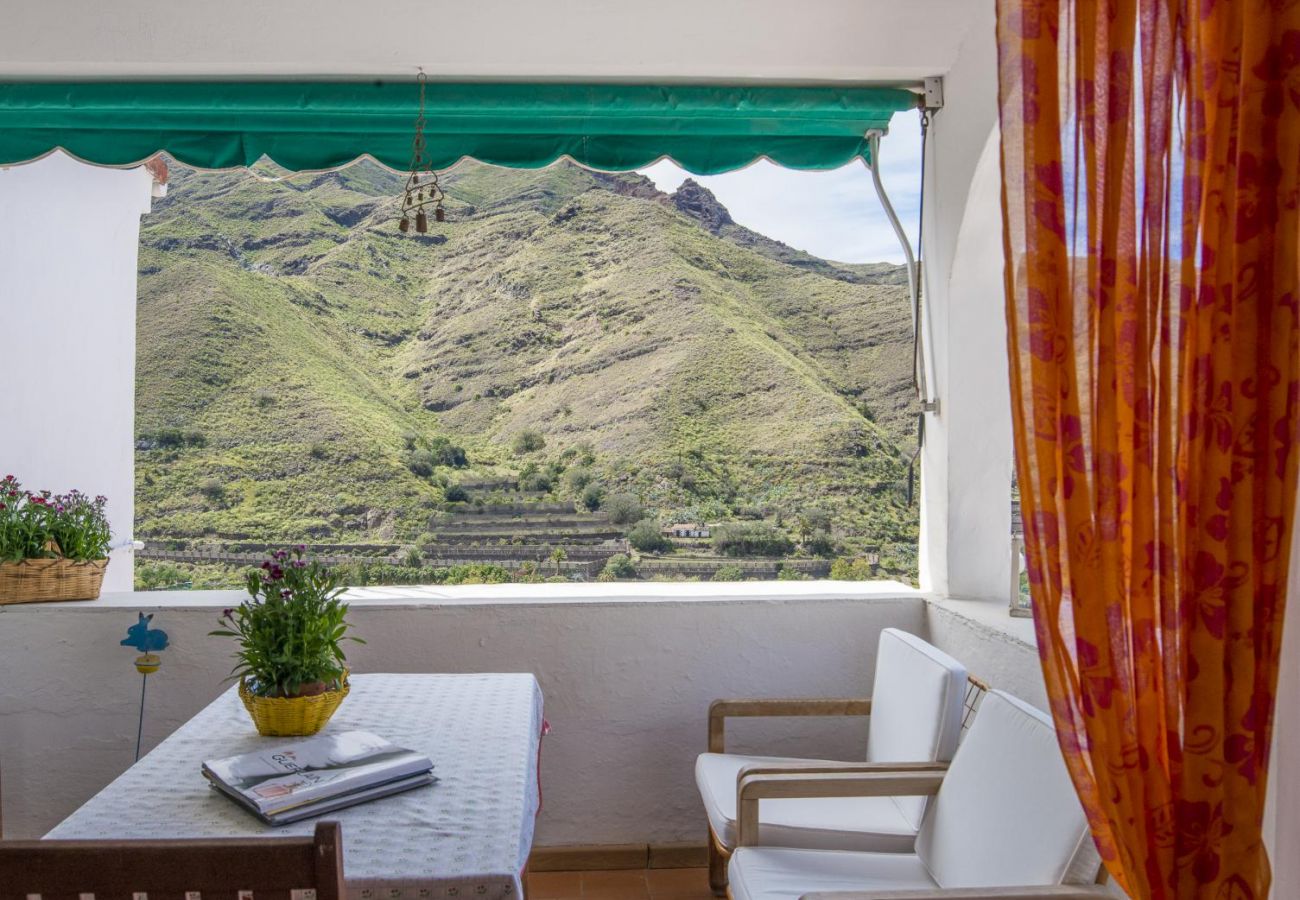 Maison à Agaete - Villa Carmen Agaete Mimosas 13