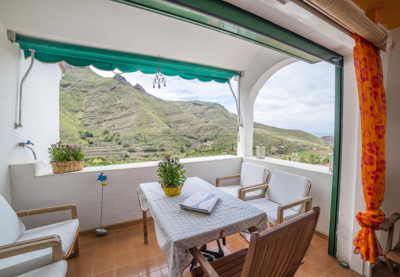 Maison à Agaete - Villa Carmen Agaete Mimosas 13
