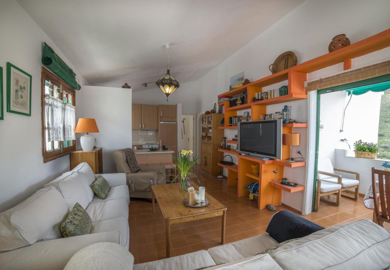 Maison à Agaete - Villa Carmen Agaete Mimosas 13
