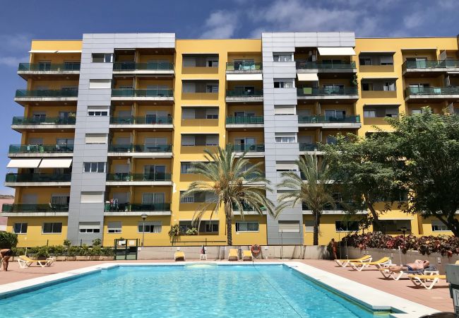 Las Palmas de Gran Canaria - Appartement
