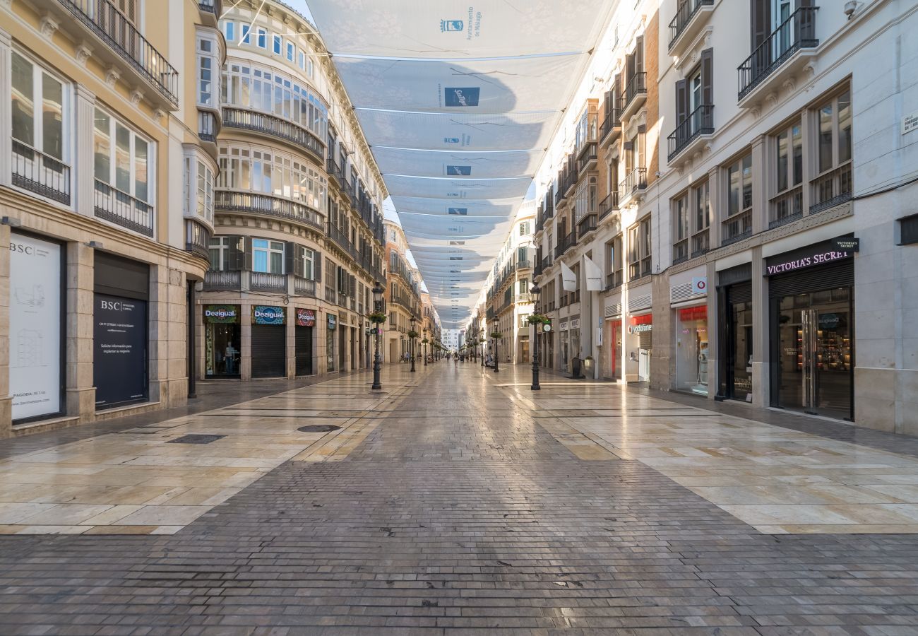 Appartement à Malaga - iloftmalaga Calle Granada