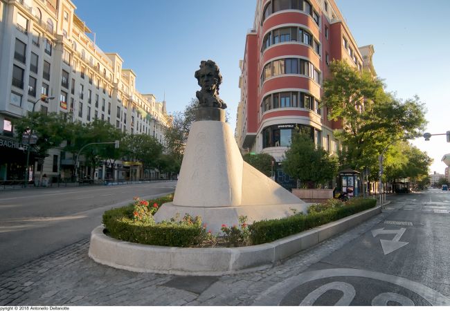 Studio à Madrid - GOYA, ground floor studio Studio à Madrid - GOYA, ground floor studio
