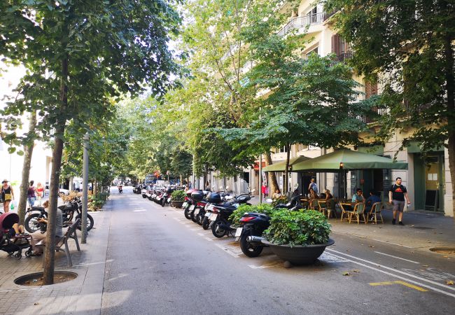 Appartement à Barcelona - EIXAMPLE CENTER NEXT TO PASSEIG GRACIA Appartement à Barcelona - EIXAMPLE CENTER NEXT TO PASSEIG GRACIA