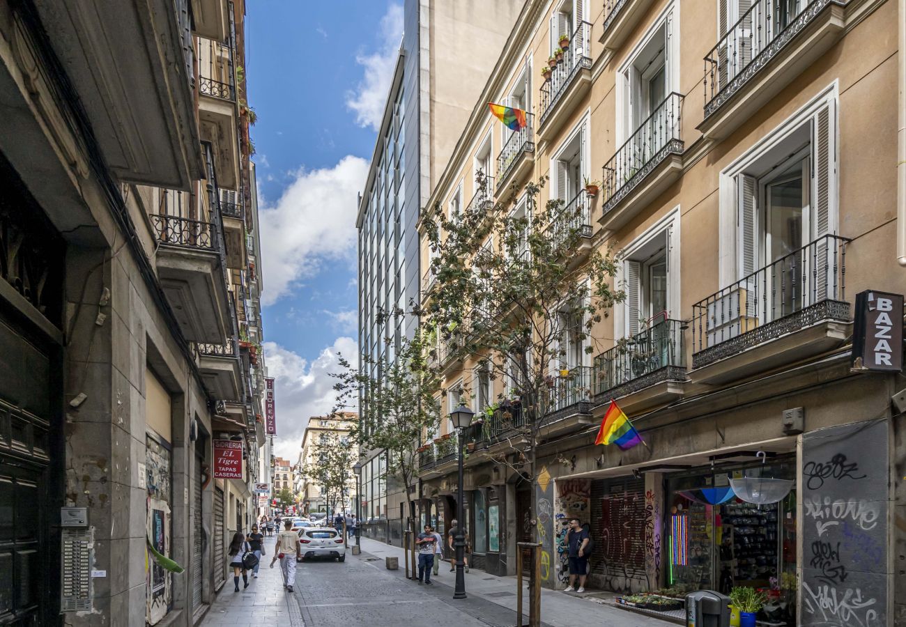 Appartement à Madrid - M (INF2E) Hermoso apartamento Plaza Zerolo