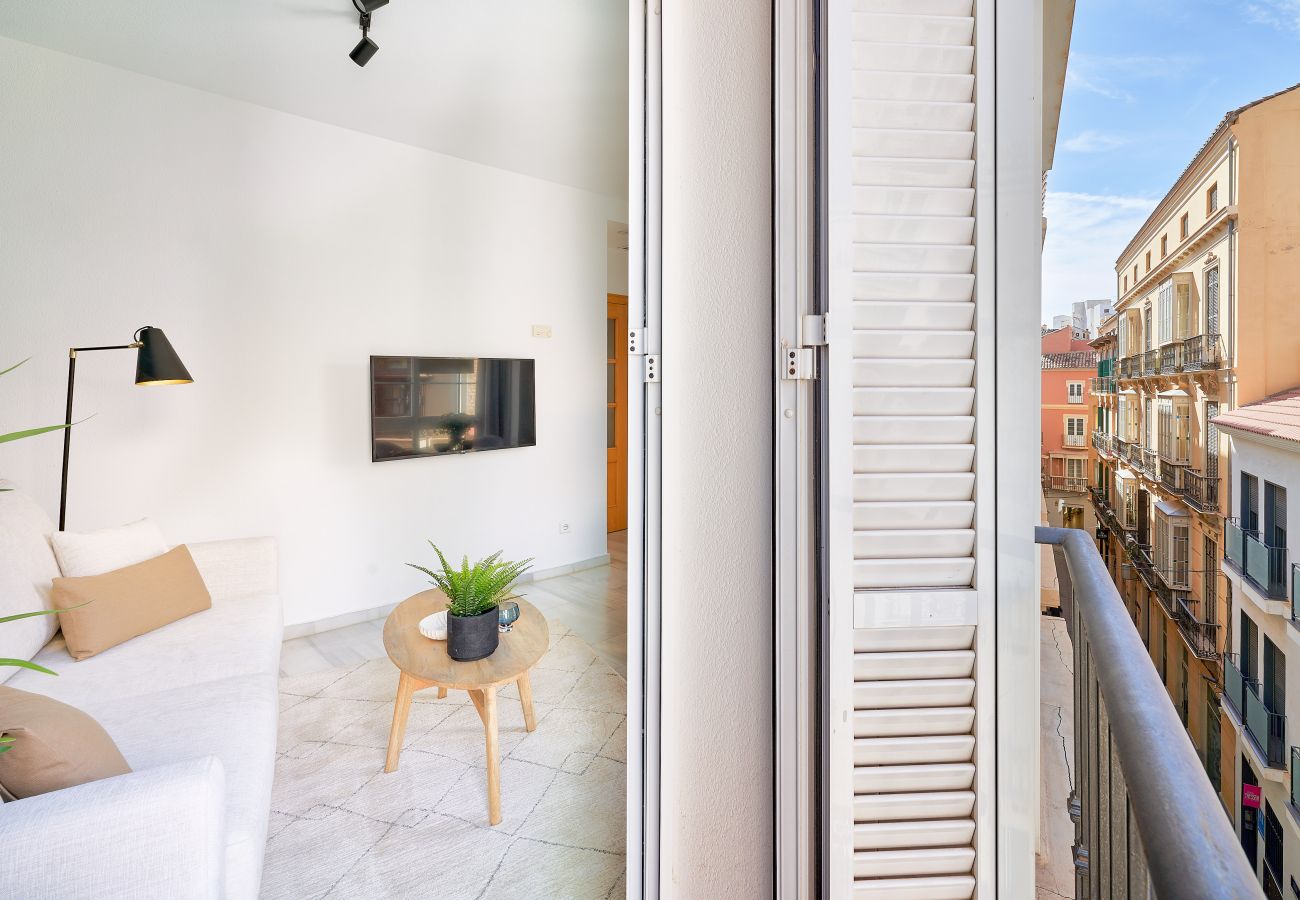 Appartement à Malaga - ilofmalaga Ático Pozos Dulces