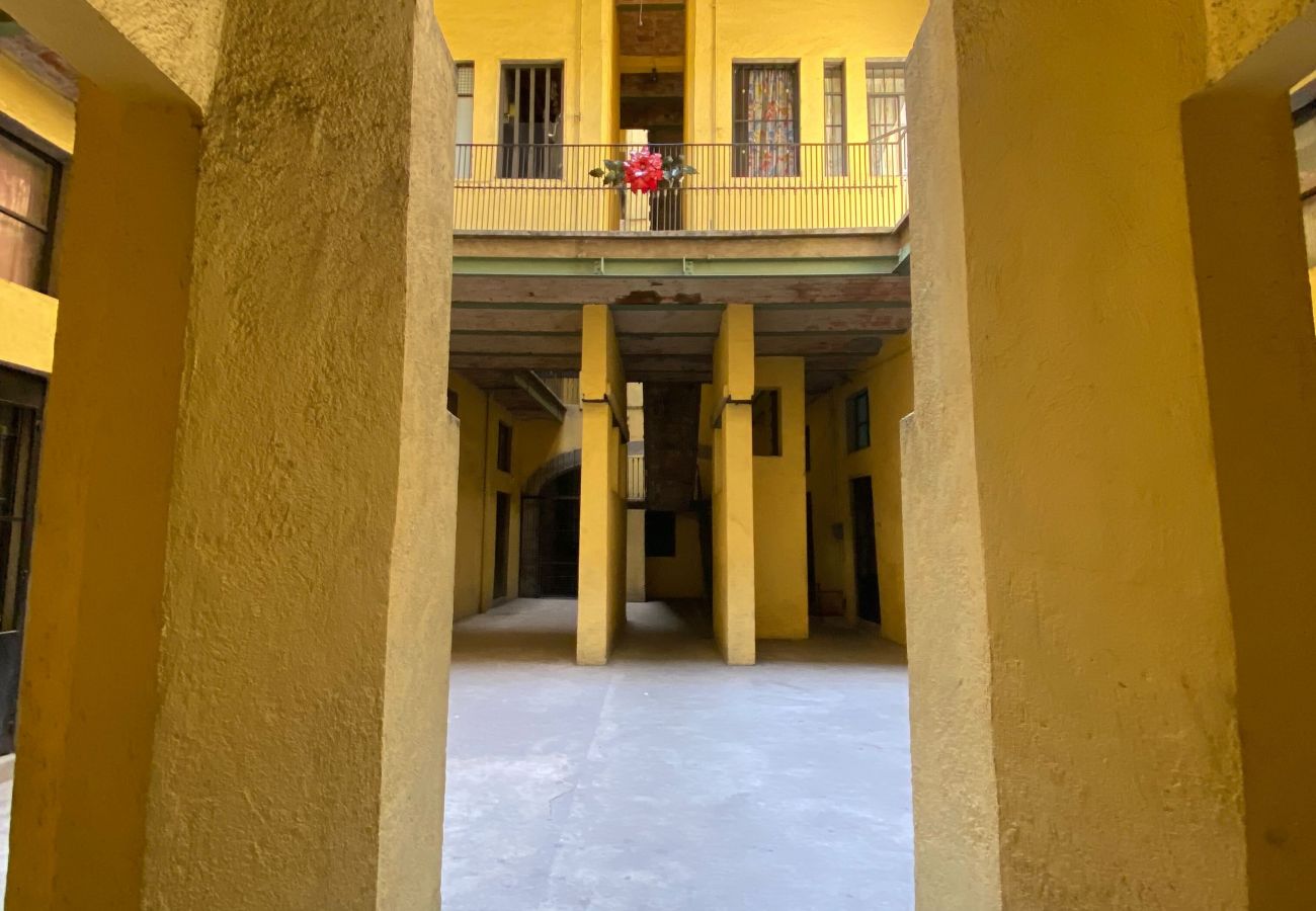 Appartement à Ciudad de México - Lagunilla Centro Histórico MX (RPB64)
