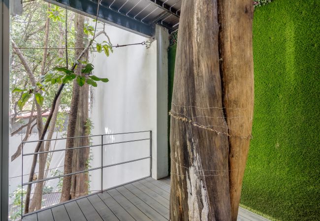 Appartement à Ciudad de México - MX (TLC30) Roma Sur CDMX Appartement à Ciudad de México - MX (TLC30) Roma Sur CDMX