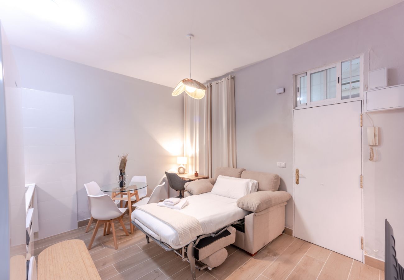 Appartement à Madrid - Ap. Embajadores-Lavapiés AMP98