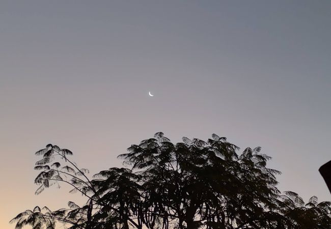 Résidence à Cuernavaca - MX (SFE205) Xochitepec Morelos Résidence à Cuernavaca - MX (SFE205) Xochitepec Morelos