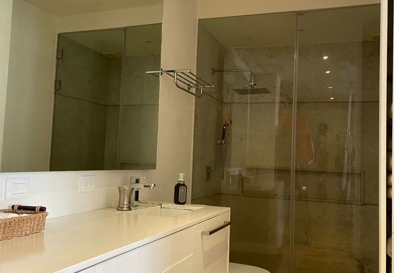 Appartement à Ciudad de México - MX (ALD11) San Ángel CDMX