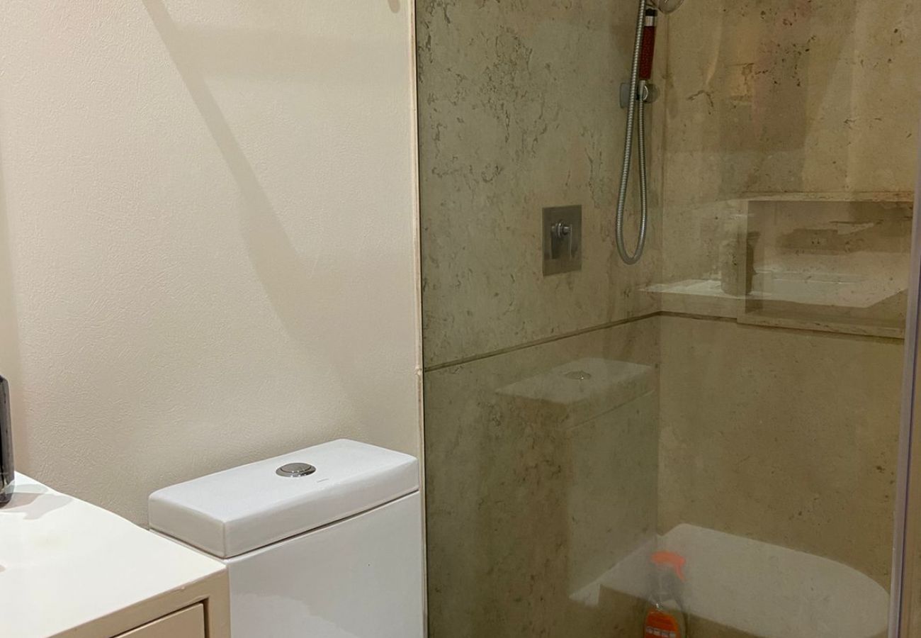 Appartement à Ciudad de México - MX (ALD11) San Ángel CDMX
