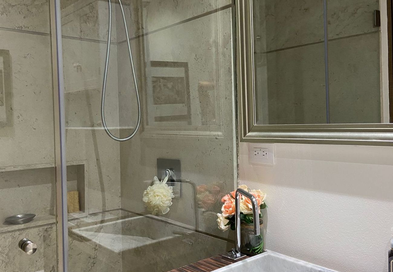Appartement à Ciudad de México - MX (ALD11) San Ángel CDMX