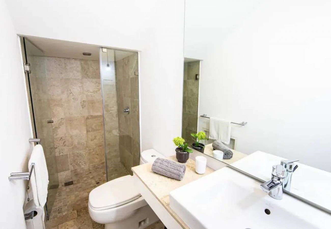 Appartement à Ciudad de México - Greatest Loft in Downton of Mexico City