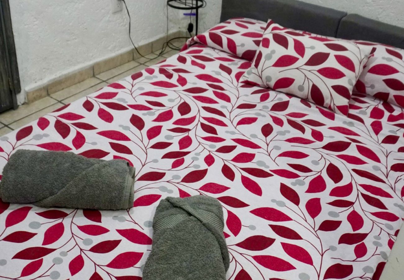 Appartement à Ciudad de México - Mx (COL290)