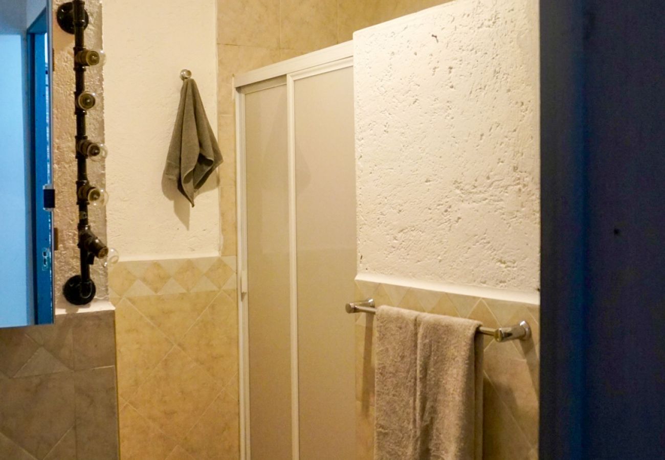 Appartement à Ciudad de México - Mx (COL290)