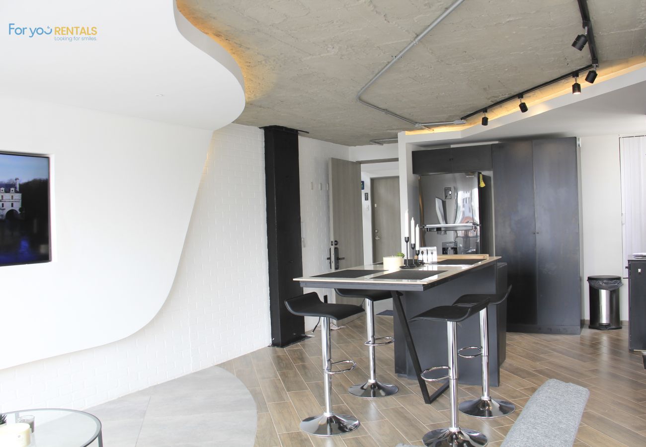 Appartement à Ciudad de México - MX (GDV 76) Loft Monumento