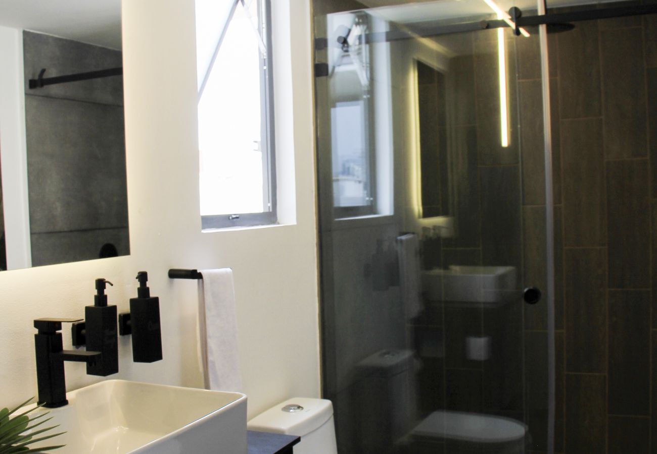 Appartement à Ciudad de México - MX (GDV 76) Loft Monumento