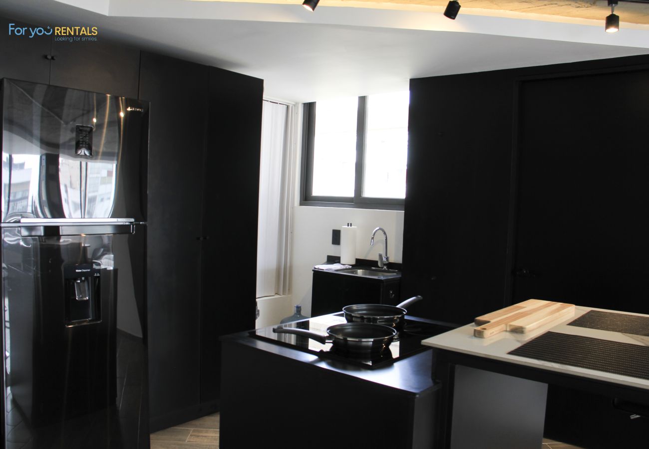 Appartement à Ciudad de México - MX (GDV 76) Loft Monumento