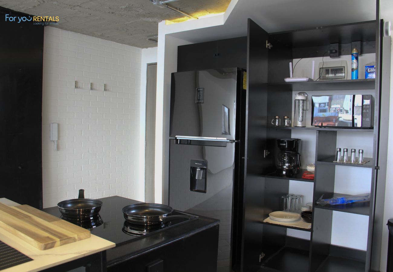 Appartement à Ciudad de México - MX (GDV 76) Loft Monumento