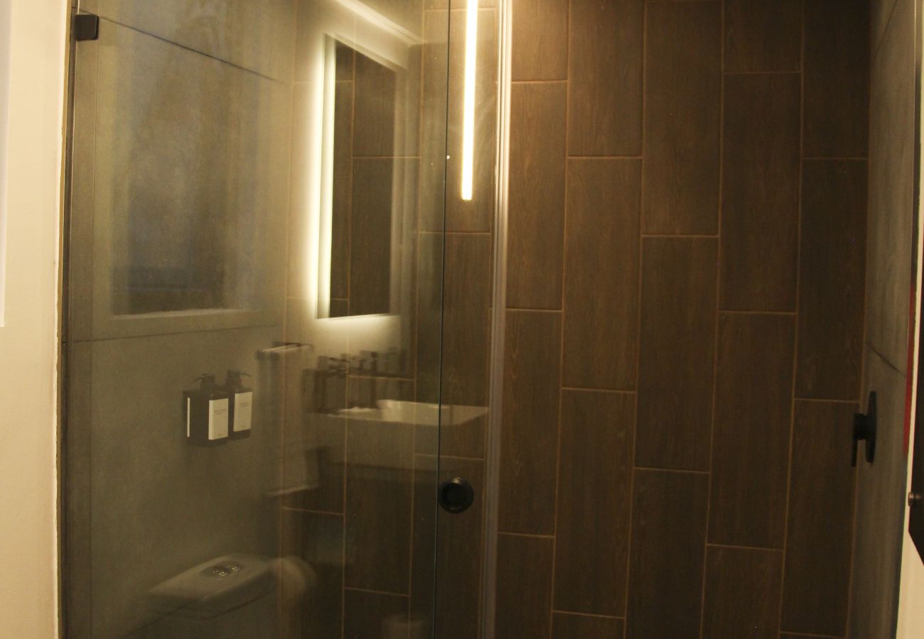 Appartement à Ciudad de México - MX (GDV 76) Loft Monumento