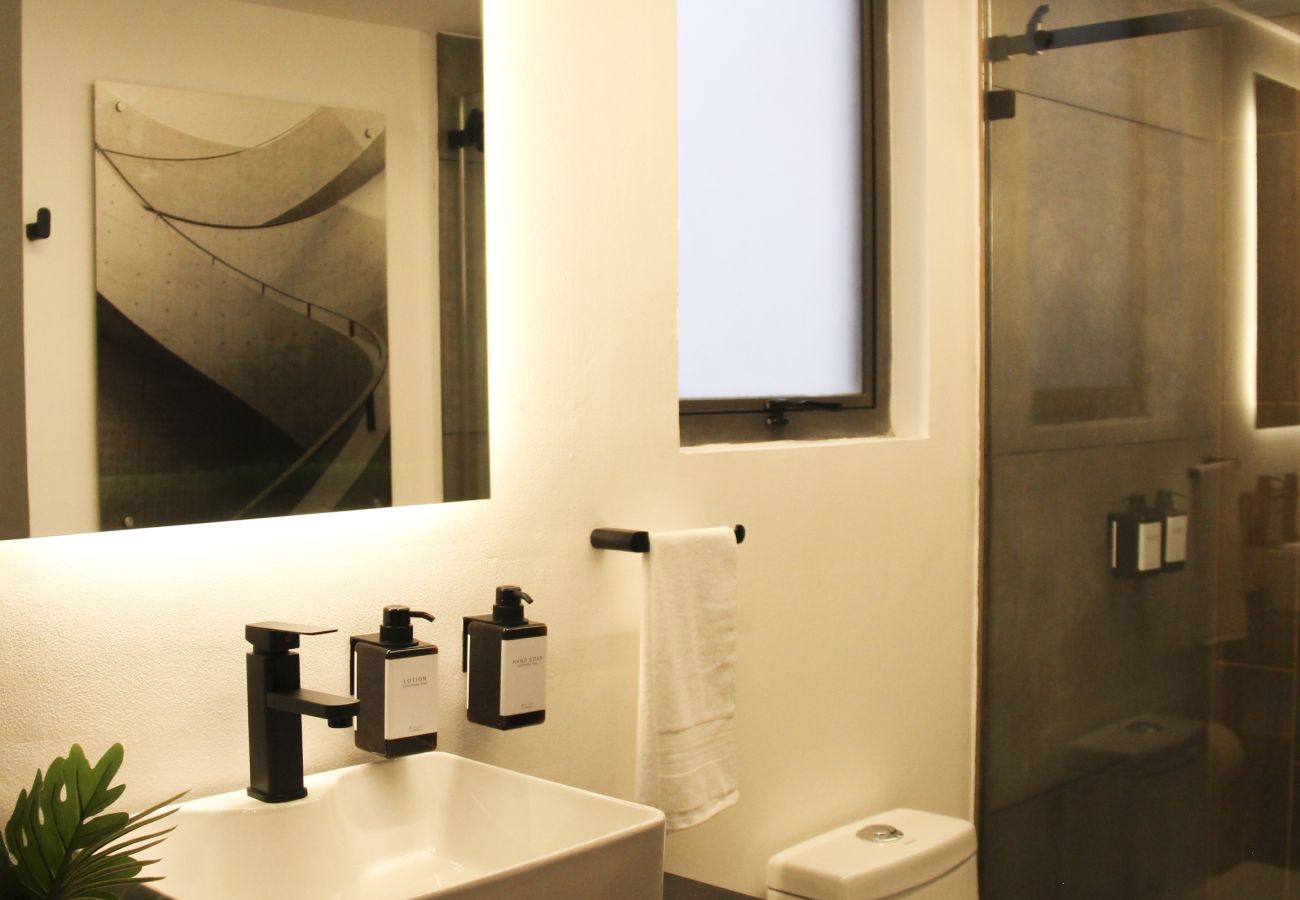 Appartement à Ciudad de México - MX (GDV 76) Loft Monumento