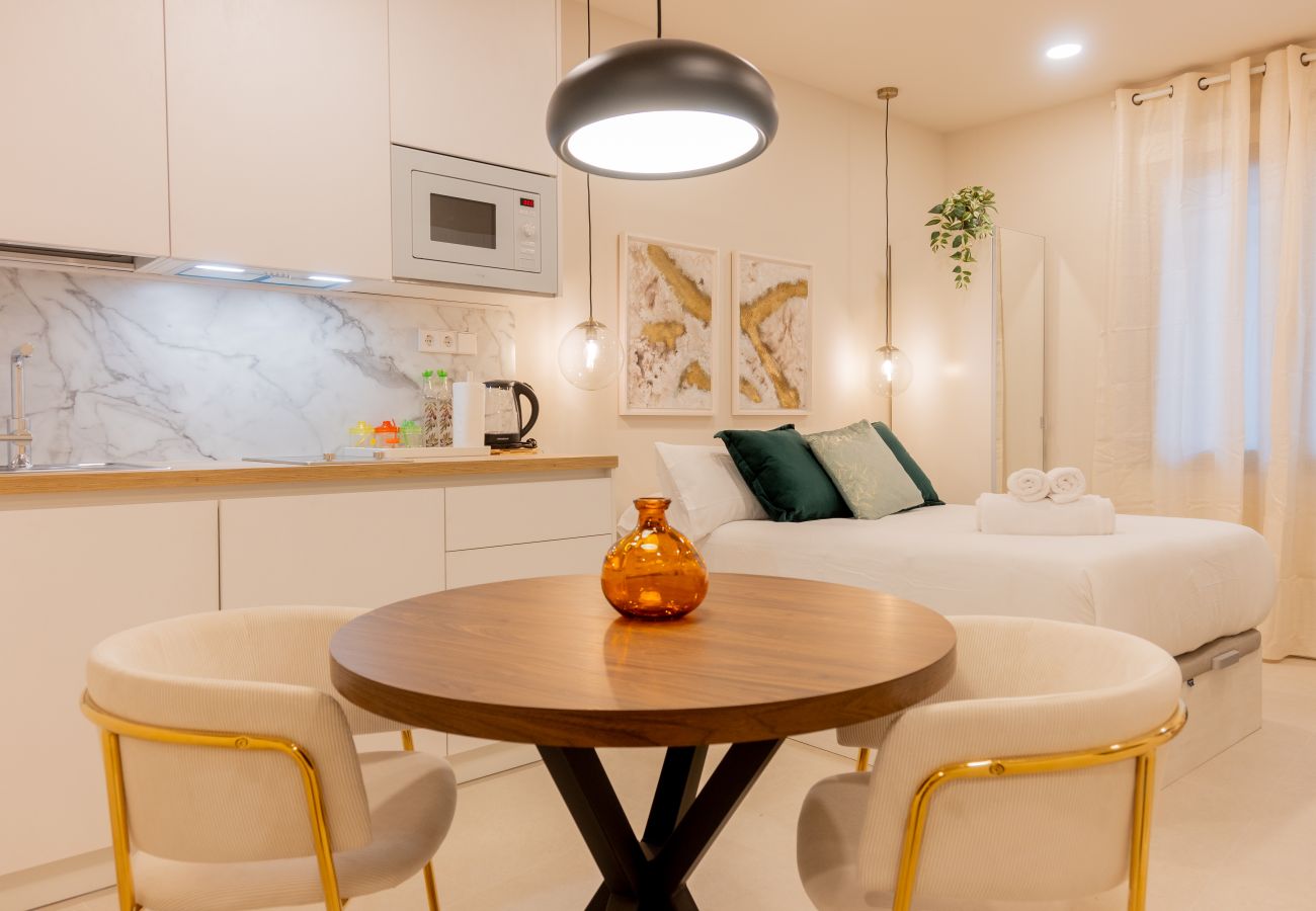 Studio à Madrid - M (DEL291º3) Liria: Un Espacio de Elegancia y Conf