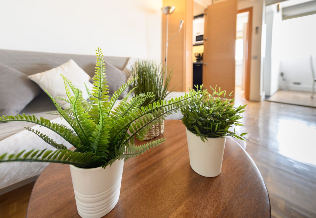 Appartement à Madrid - M (GPE32)Piso de 2 Dormitorios con Vistas a la Ciu