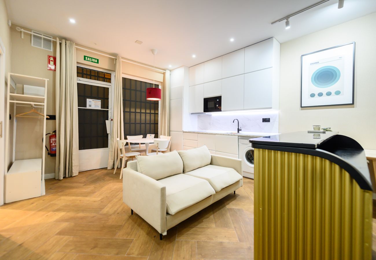 Studio à Madrid - M (NDA11BII)Acogedor estudio interior con todas la