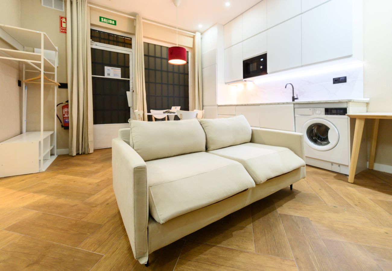 Studio à Madrid - M (NDA11BII)Acogedor estudio interior con todas la