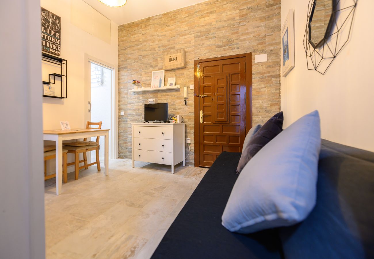 Appartement à Madrid - M (SEL60I) Piso de 1 dormitorio y terraza en Madri