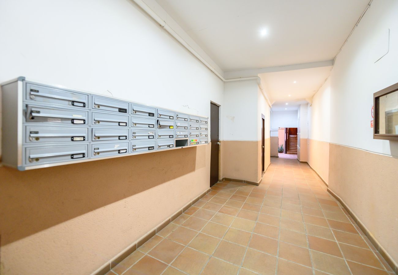 Appartement à Madrid - M (OLM102BA) Amplio y luminoso piso 2 dormitorios