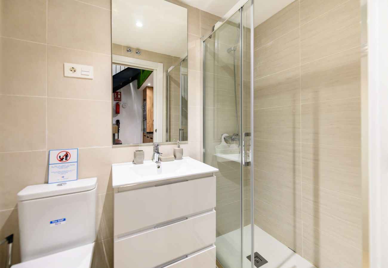 Appartement à Madrid - M (ALG310B) Amplio y moderno Loft con terraza priv