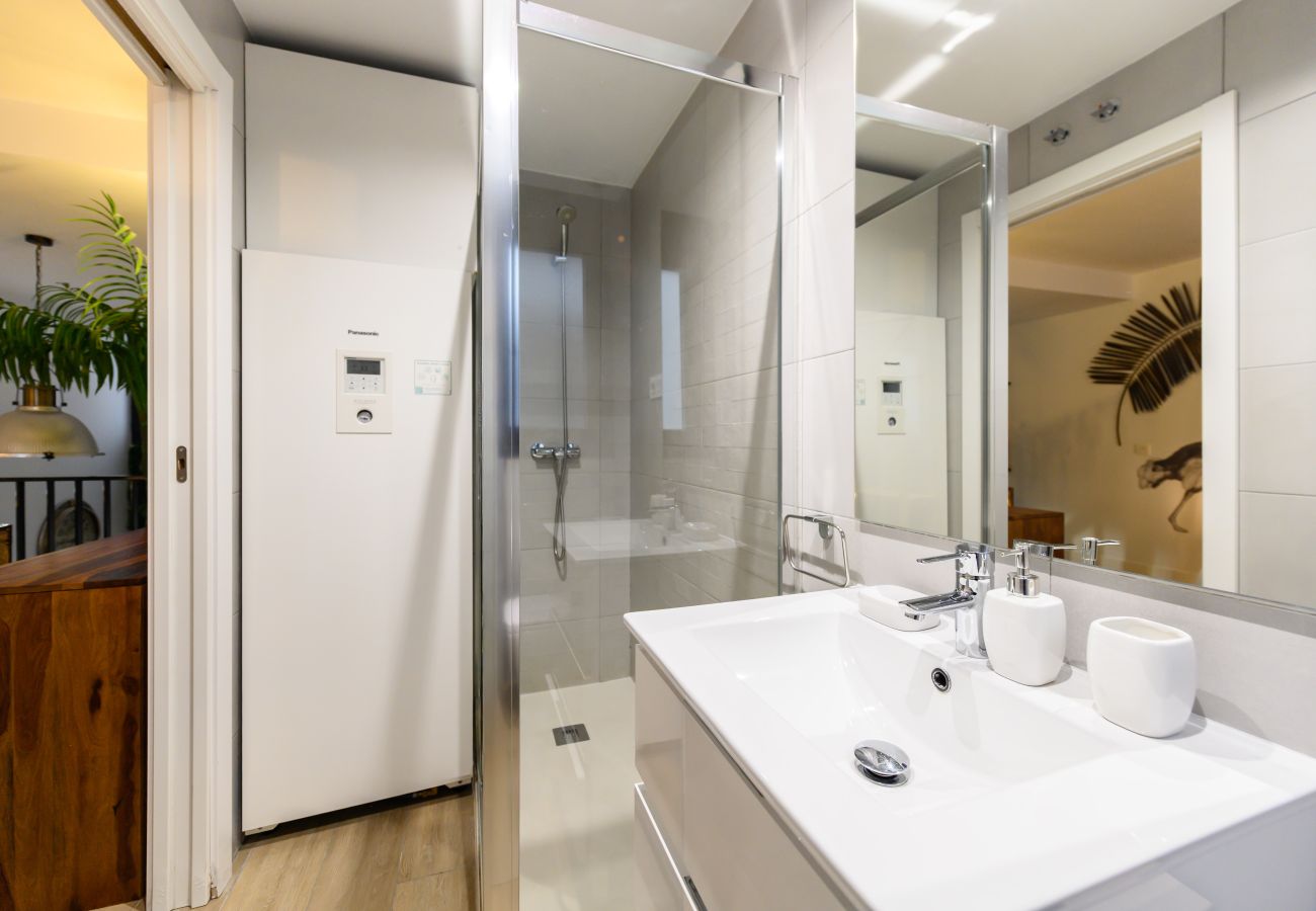 Appartement à Madrid - M (ALG310B) Amplio y moderno Loft con terraza priv