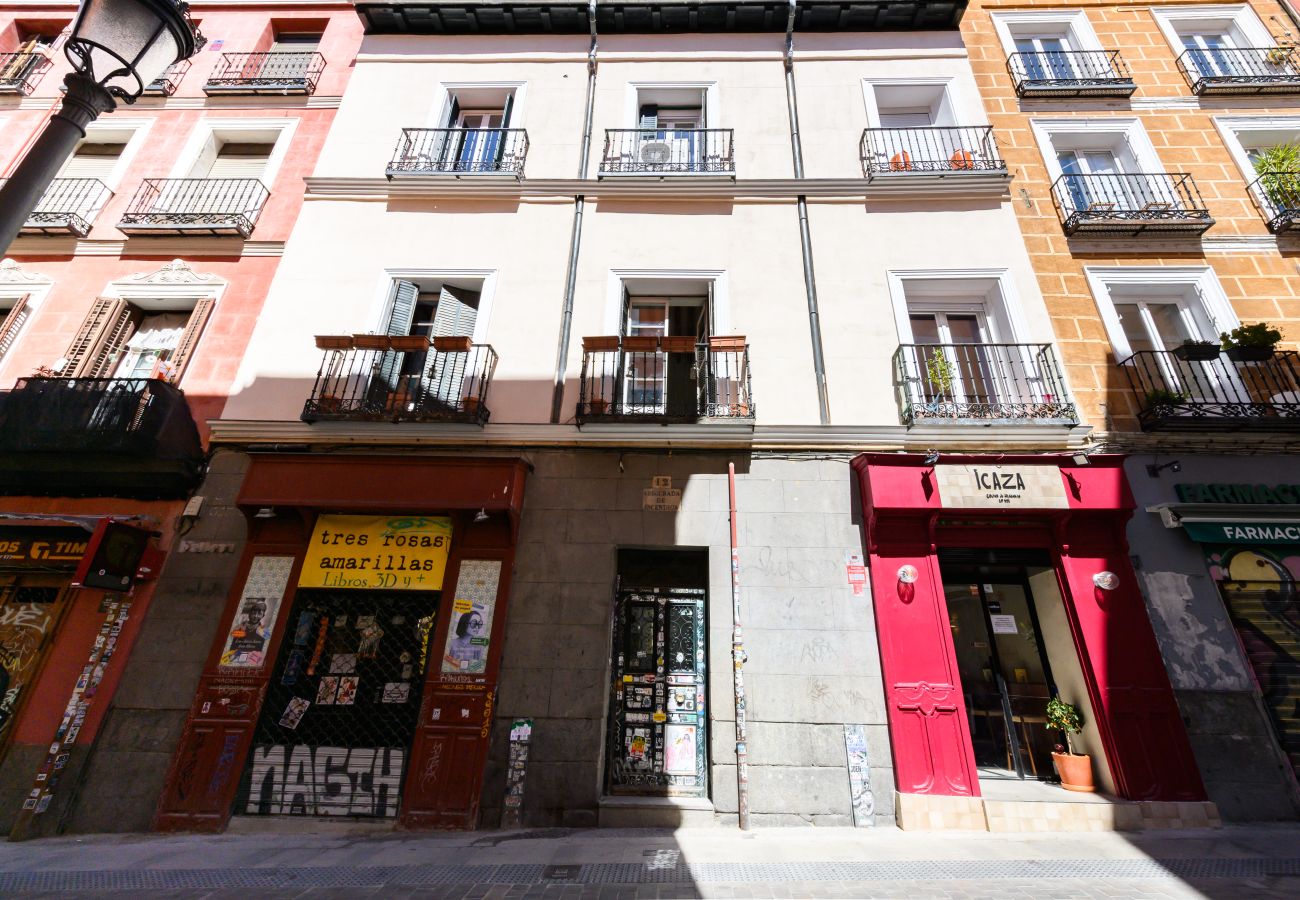 Appartement à Madrid - M (ESA121ID) Amplio Dúplex en el centro de Madrid