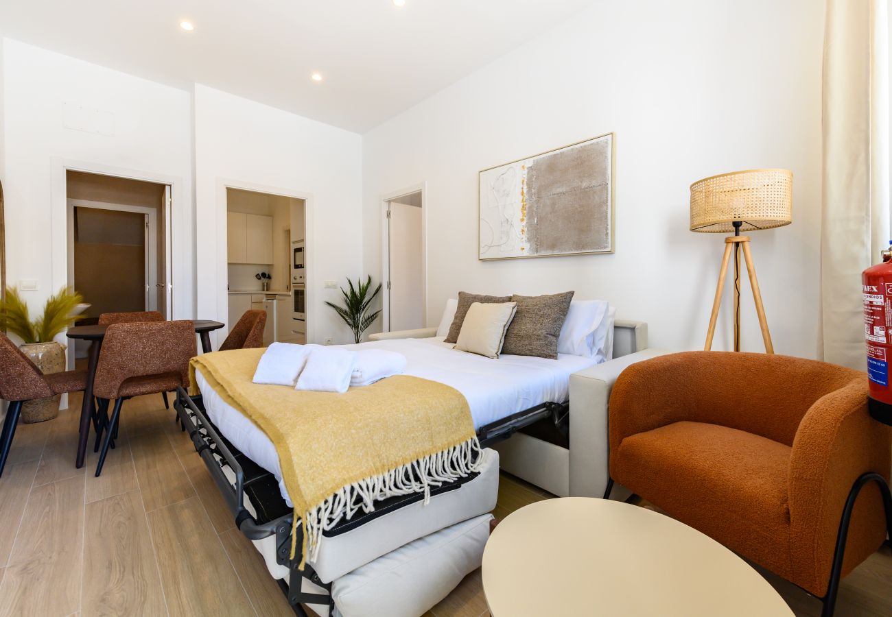 Appartement à Madrid - M (SDB1L3) Piso 1 dormitorio en Tetuán, Madrid