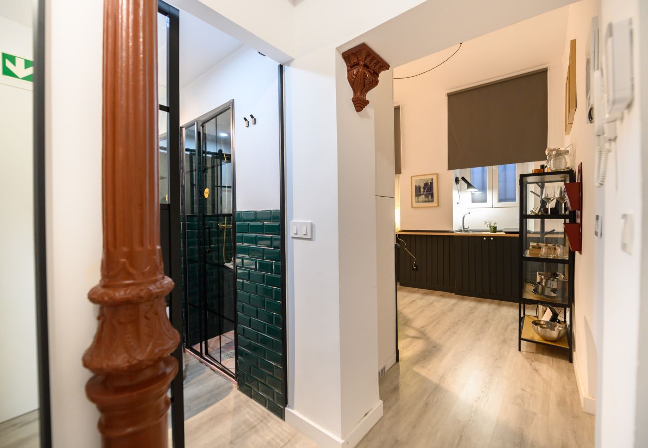 Studio à Madrid - M (MDV10D) Estudio en el Centro de Madrid