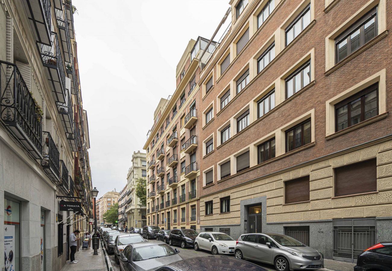 Apartamento en Madrid - Apartamento Almagro/Bilbao